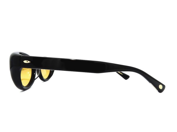 EYEVAN アイヴァン サングラス Havana col.PBK/KH