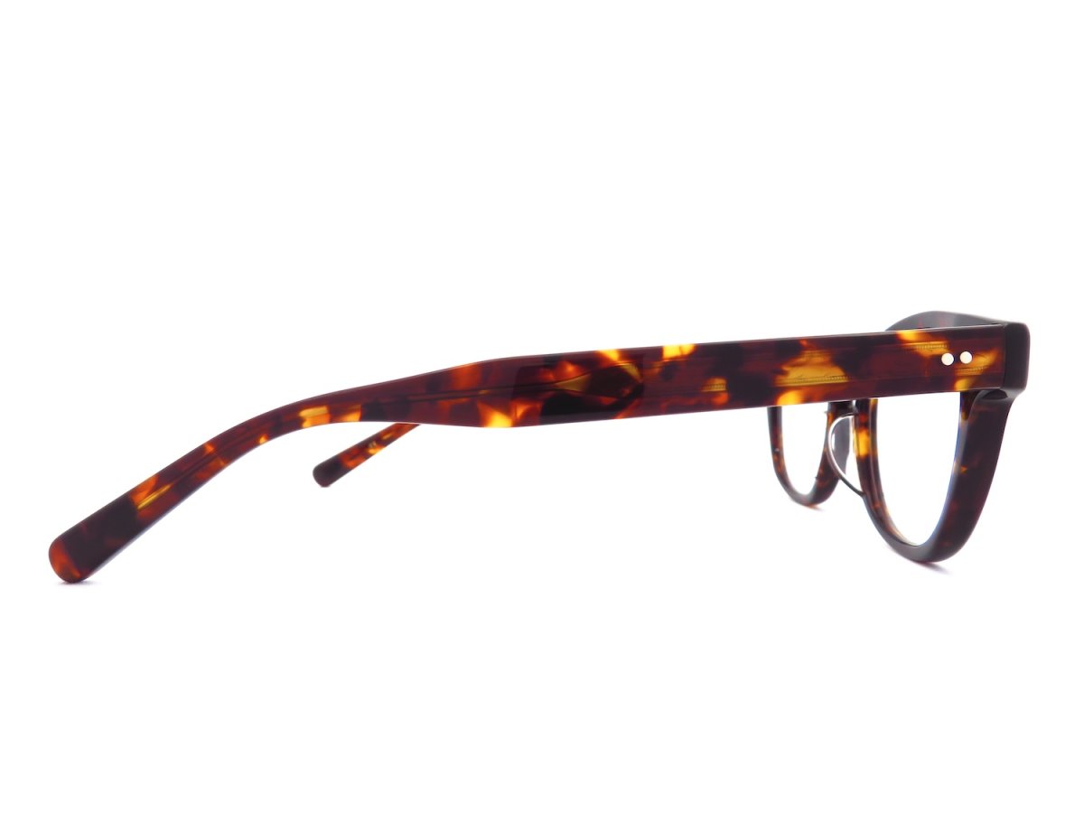 EYEVAN [Webb 47size col.TORT] 商品写真04
