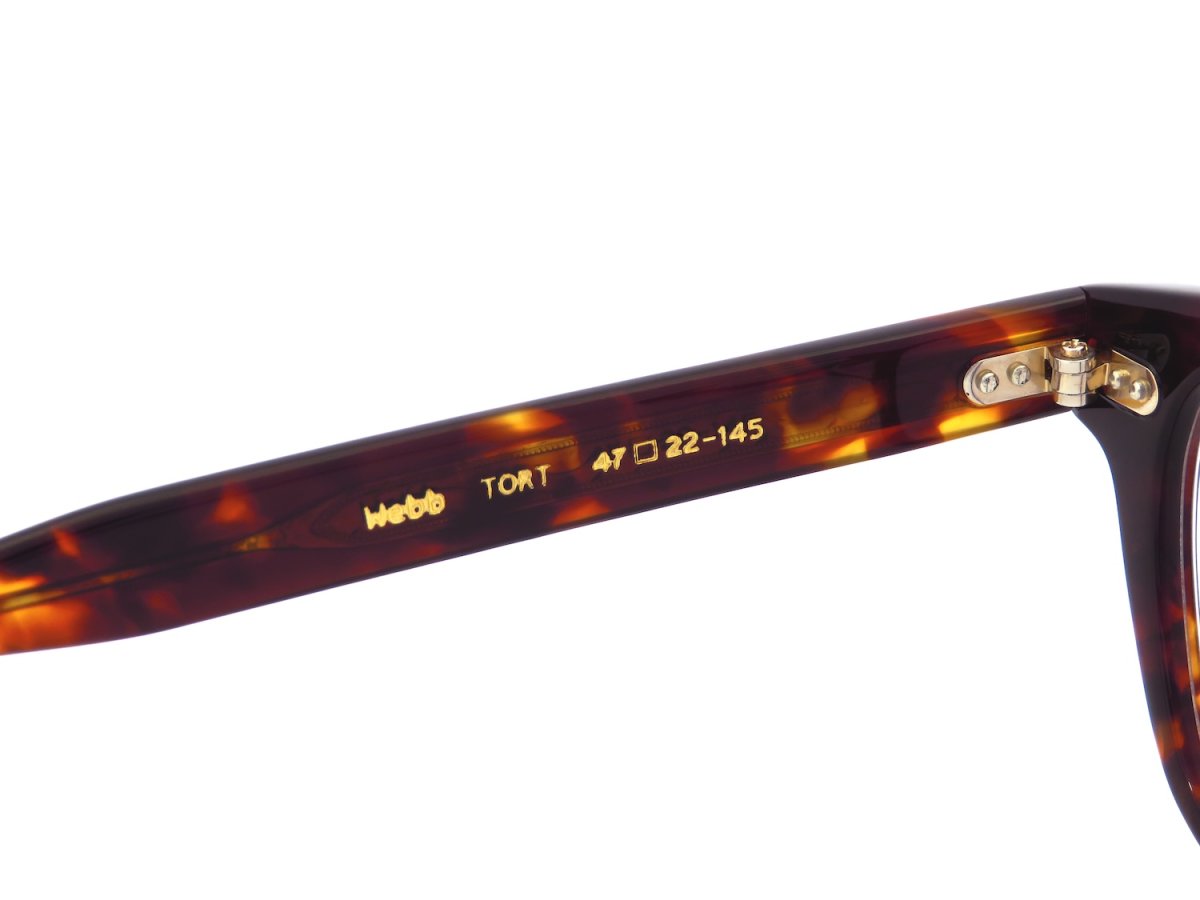 EYEVAN [Webb 47size col.TORT] 商品写真08