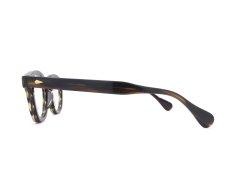 JULIUS TART OPTICAL [AR 46-22 Gold col.Camo Sasa] 商品写真03