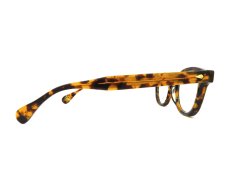 JULIUS TART OPTICAL [AR 46-22 Tortoise-Gold] 写真04