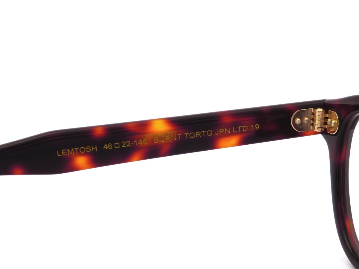 MOSCOT [LEMTOSH 46size col.BURNT TORTG JPN LTD19] 商品写真07