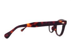 MOSCOT [LEMTOSH 49size col.BURNT TORTG JPN LTD19] 商品写真04