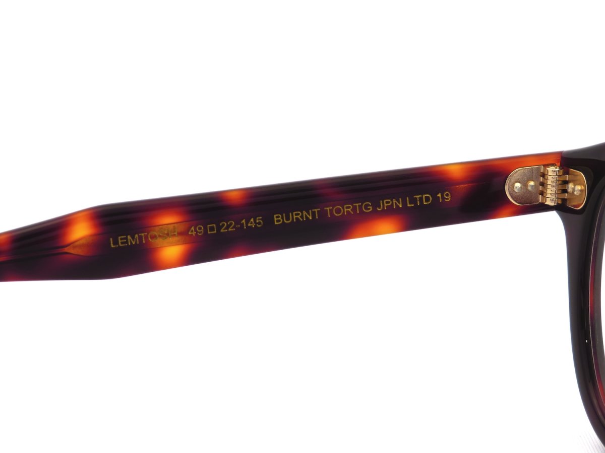 MOSCOT [LEMTOSH 49size col.BURNT TORTG JPN LTD19] 商品写真07