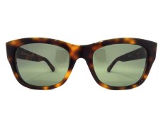 CONSUL-g col.Tortoiseshell 写真01