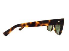 CONSUL-g col.Tortoiseshell 写真04