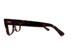 CONSUL-s col.Dark Tortoiseshell 写真03