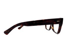 CONSUL-s col.Dark Tortoiseshell 写真04