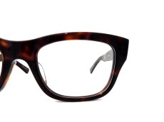 CONSUL-s col.Dark Tortoiseshell 写真07