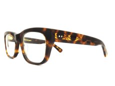 OLIVER GOLDSMITH CONSUL-s col.Fake Tortoiseshell 写真02