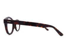 OLIVER GOLDSMITH [PINEWOOD col.Dark Tortoiseshell] 商品写真03