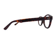 OLIVER GOLDSMITH [PINEWOOD col.Dark Tortoiseshell] 商品写真04