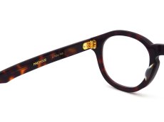 OLIVER GOLDSMITH [PINEWOOD col.Dark Tortoiseshell] 商品写真06