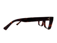 VICE CONSUL-g col.Dark Tortoiseshell 写真04