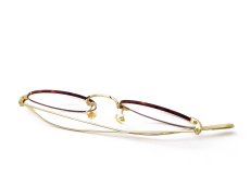 OLIVER PEOPLES [Coleridge 47size OV1186 col.5295] 写真09