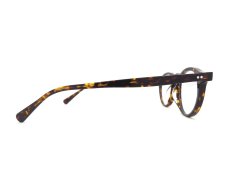 OLIVER PEOPLES [OP-13 OV5504U col.1741] 商品写真04