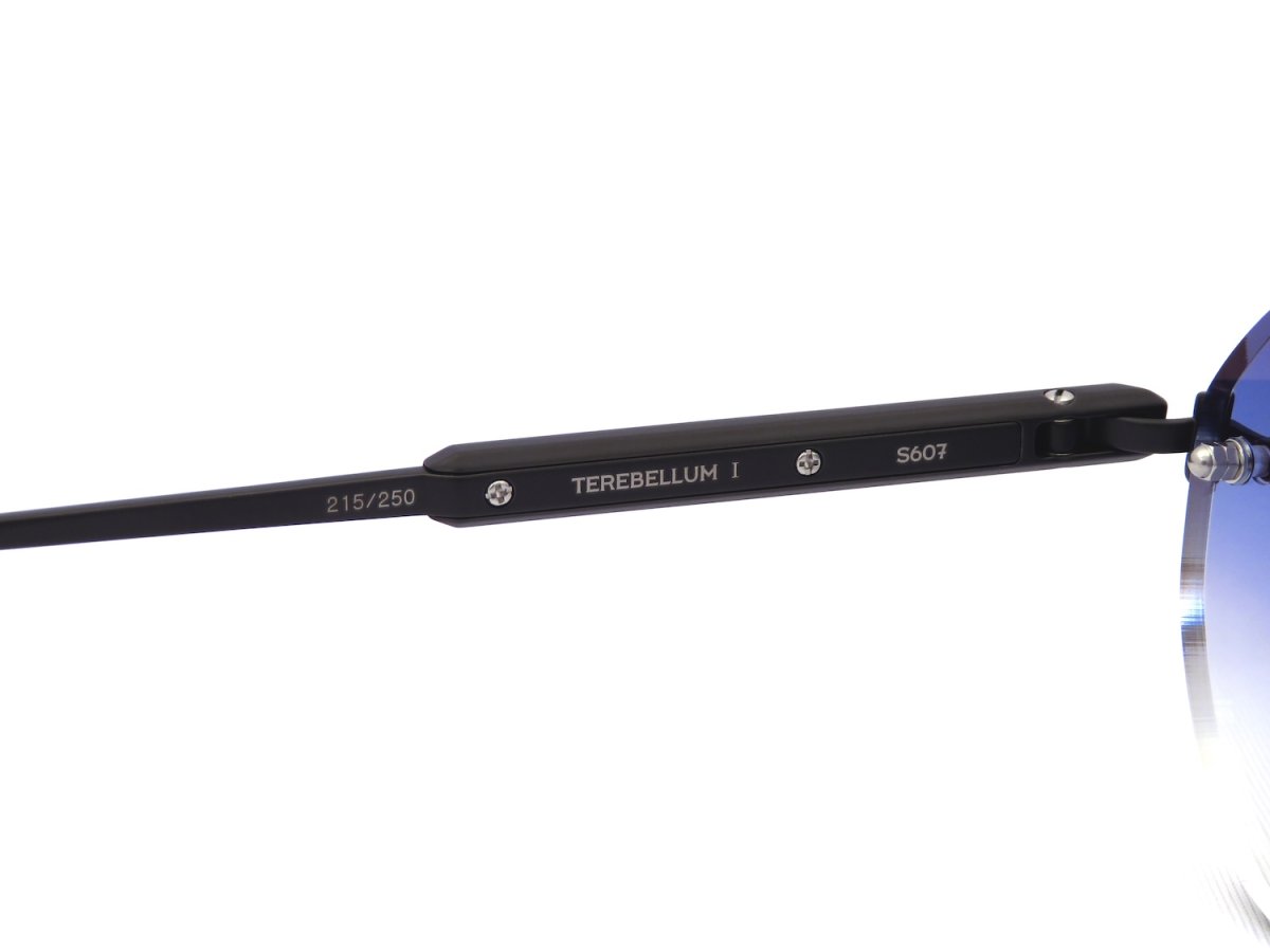 SATO EYEWEAR [TEREBELLUM I col.S607] 商品写真07